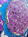 IMG_20250615_135429.webp