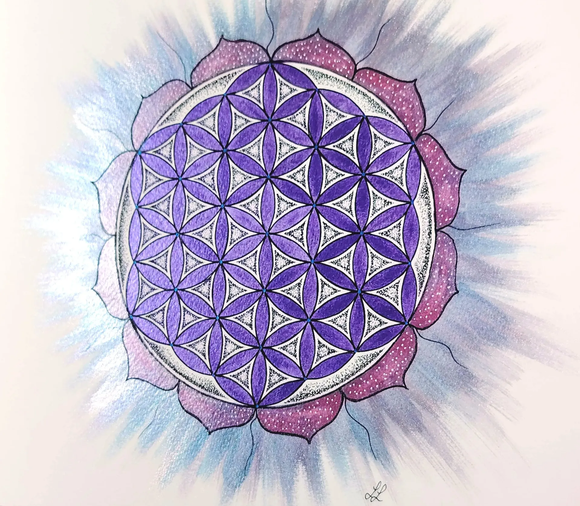 [Ref0001] Floraison de Lumière